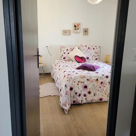 Coquet Appartement A 15Mn De Paris Et 10 Mn De Stade De France, Wifi, Netflix, Groslay Luaran gambar