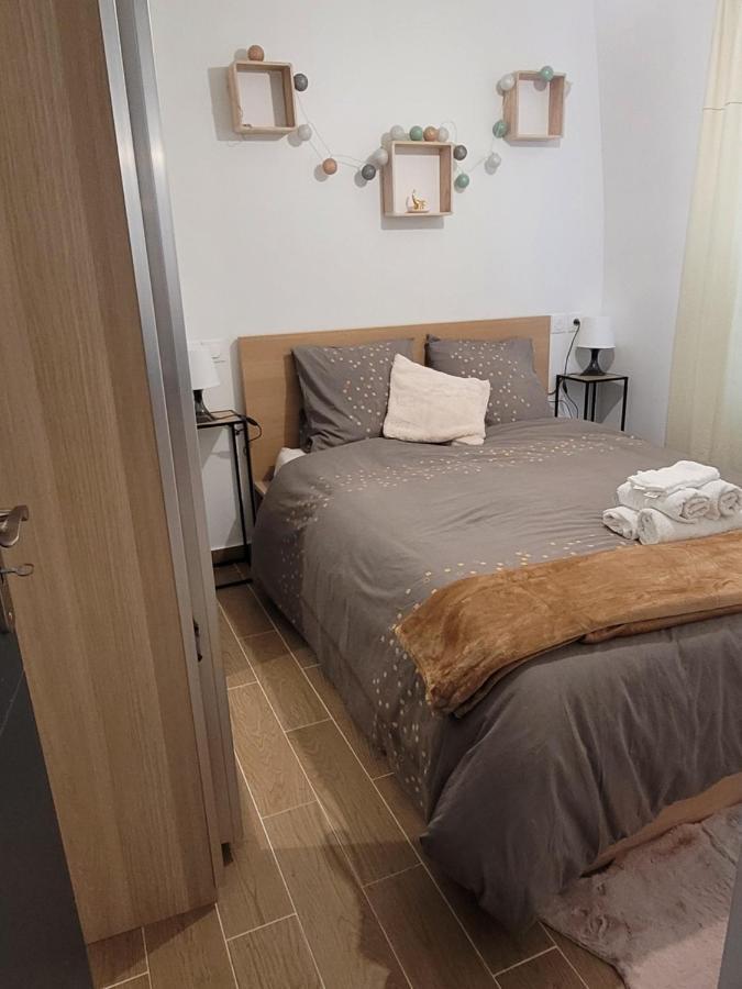 Coquet Appartement A 15Mn De Paris Et 10 Mn De Stade De France, Wifi, Netflix, Groslay Luaran gambar