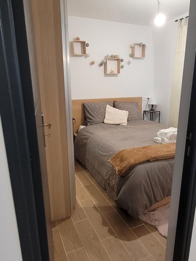 Coquet Appartement A 15Mn De Paris Et 10 Mn De Stade De France, Wifi, Netflix, Groslay Luaran gambar