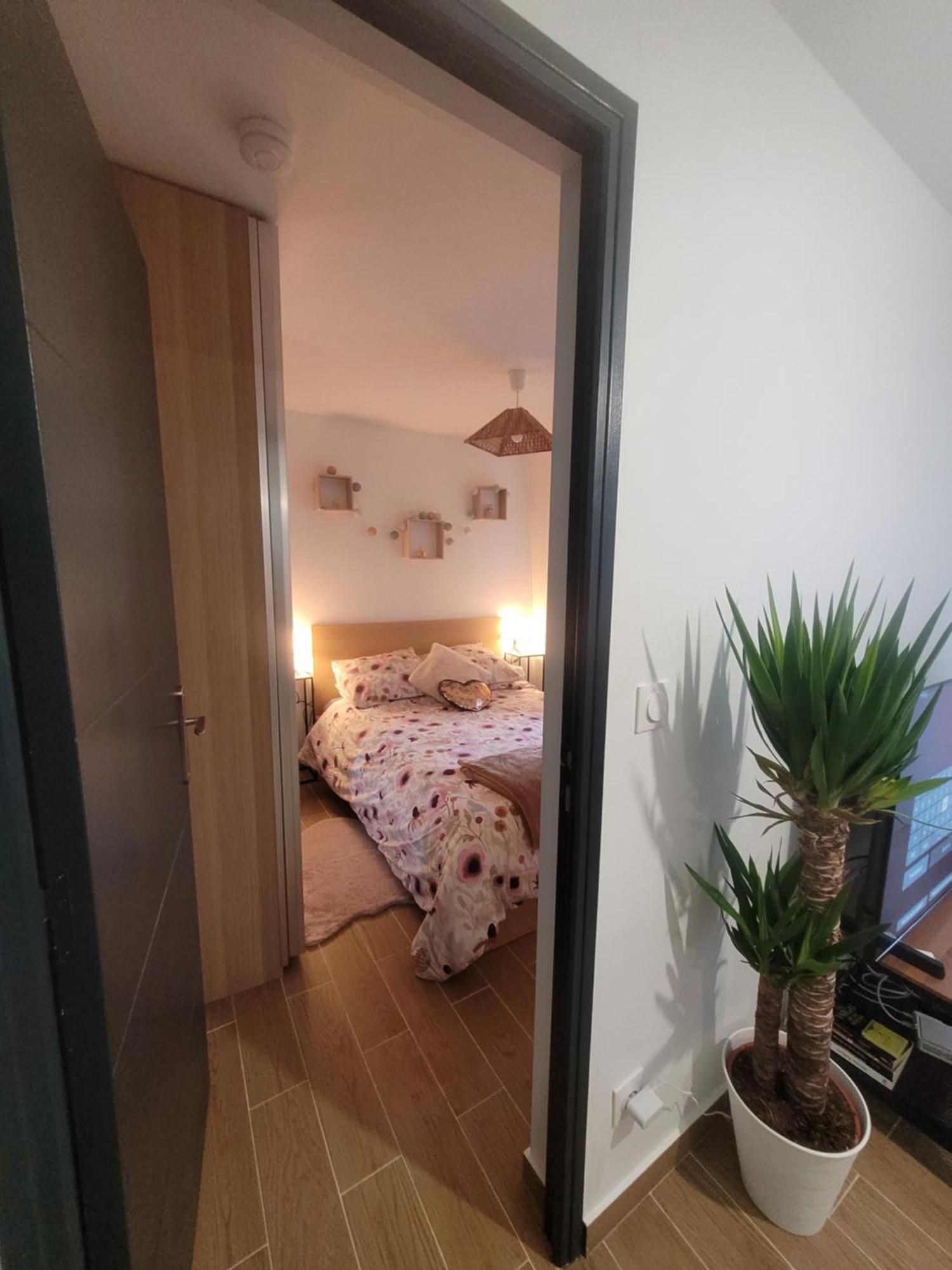 Coquet Appartement A 15Mn De Paris Et 10 Mn De Stade De France, Wifi, Netflix, Groslay Luaran gambar